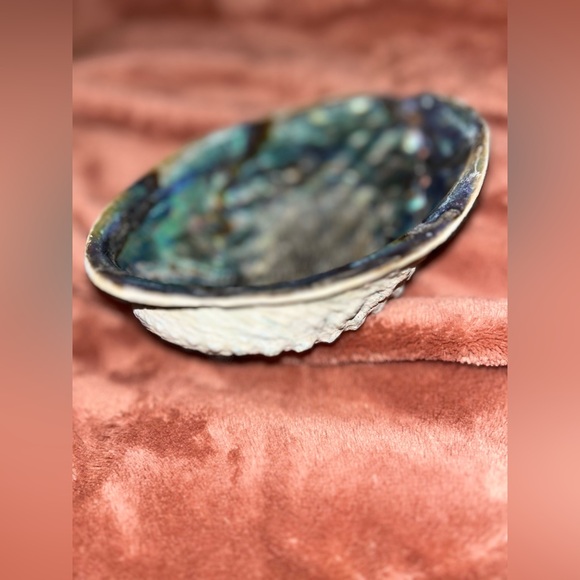 Conch Shell Catch-All - Iridescent & Natural - Picture 2 of 4